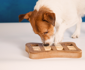 De Voordelen van Hondenpuzzels: Gezonde Leukheid voor Jouw Snoephond!